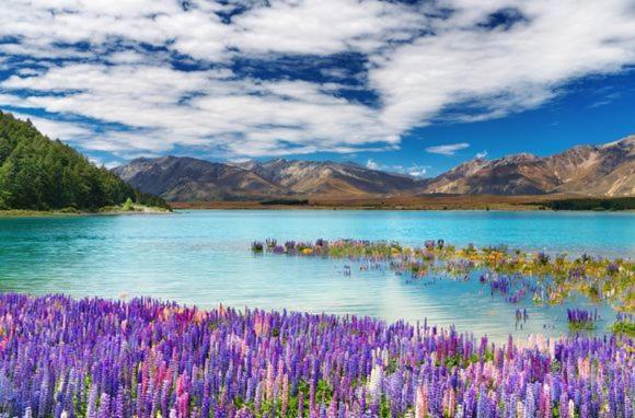 Te Anau Manapouri Lake Hotel Zewnętrze zdjęcie